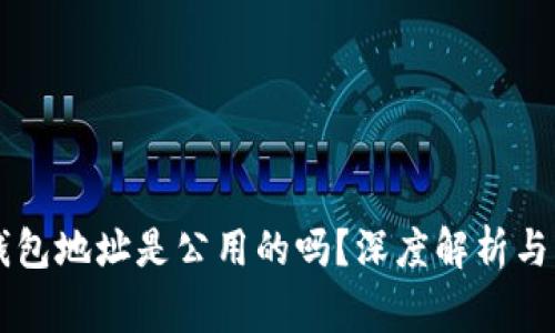 交易所钱包地址是公用的吗？深度解析与常见疑问