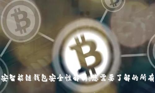 tp币安智能链钱包安全性解析：您需要了解的所有信息