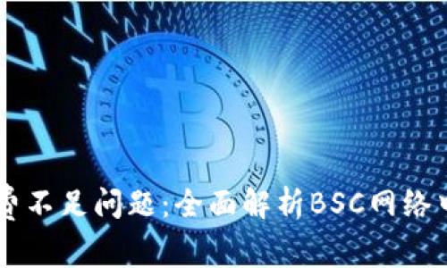 如何解决TPWallet矿工费不足问题：全面解析BSC网络中的常见挑战与解决方案