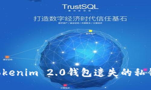 如何找回Tokenim 2.0钱包遗失的私钥：详细指南