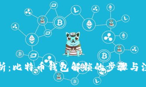 全面解析：比特币钱包解锁的步骤与注意事项