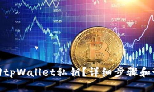 如何找回tpWallet私钥？详细步骤和预防措施