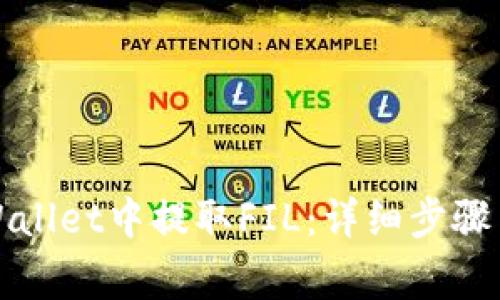 如何在tpWallet中提取FIL：详细步骤与注意事项