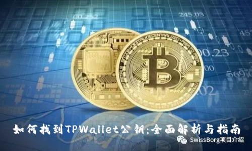 如何找到TPWallet公钥：全面解析与指南