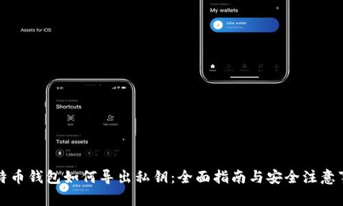 比特币钱包如何导出私钥：全面指南与安全注意事项