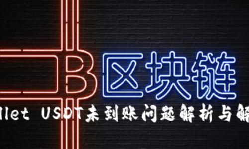 TP Wallet USDT未到账问题解析与解决方案