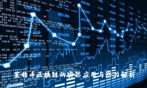 莱特币区块链的实际应用与潜力解析